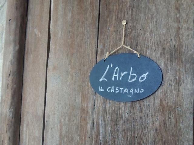 immagine camera L'Arbo