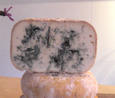 foto del formaggio Verd’Alp